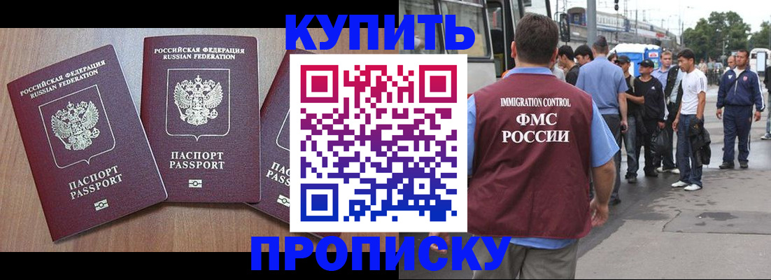 прописка 2025 в Сольцах