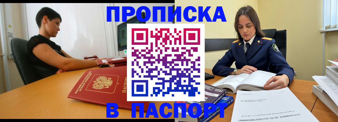 форма 3 в Сольцах