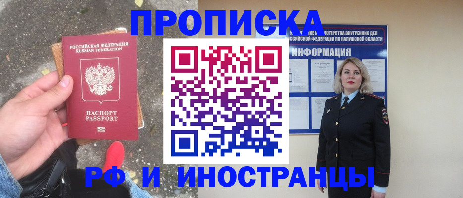 прописка поиск в Сольцах
